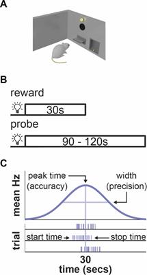 Temporal scaling and computing time in neural circuits: Should we stop watching the clock and look for its gears?